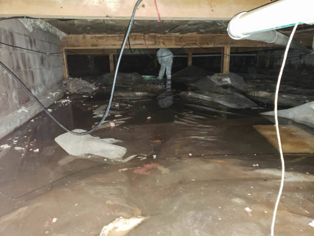 Best Flood Cleanup and Water Removal in Brandywine Bay, NC